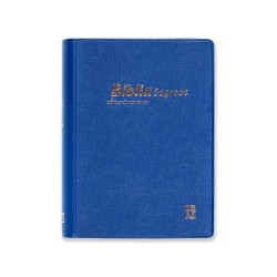 Bíblia DN42C | Azul | Capa vinil | Concordância | Letra pequena